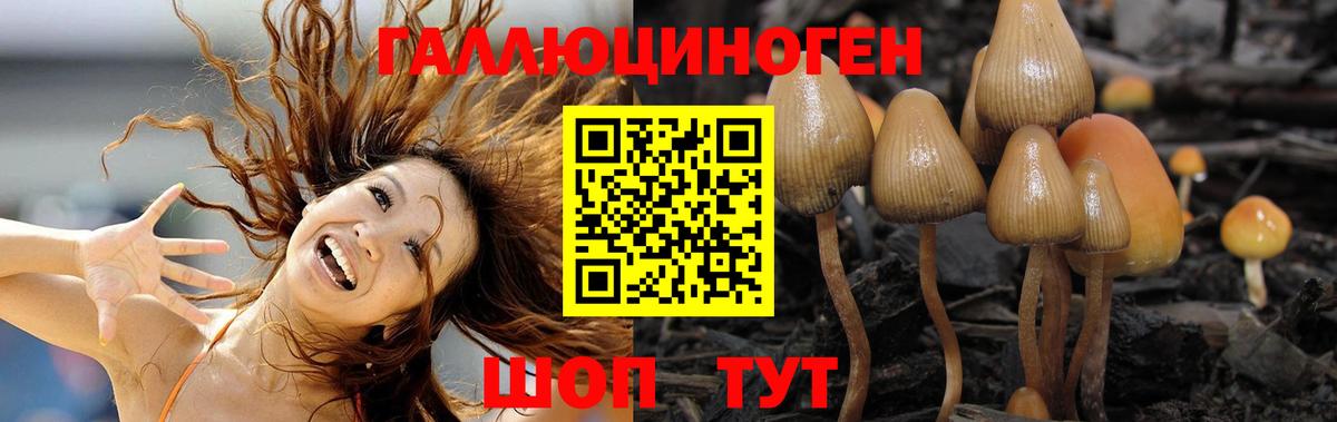 Галлюциногенные грибы прущие грибы  Галлюциногенные грибы прущие грибы  Тельмана  Вход с VPN 